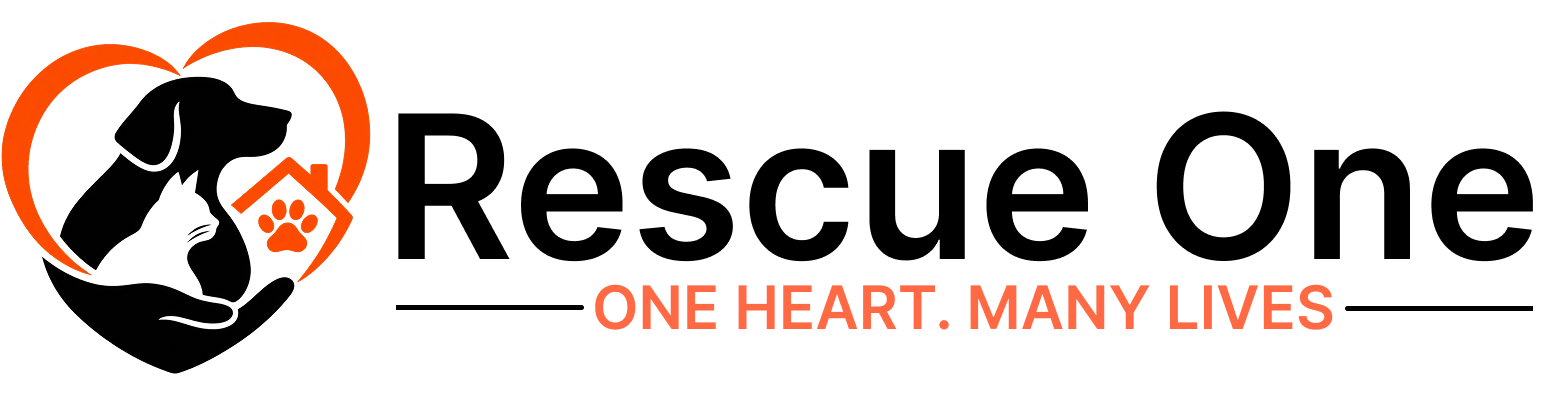 Rescue One