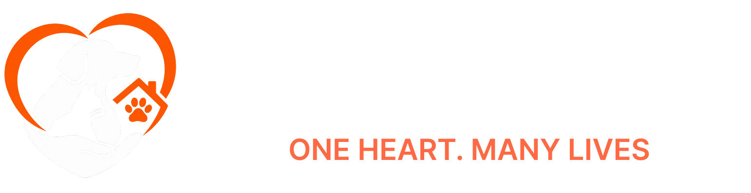 Rescue One